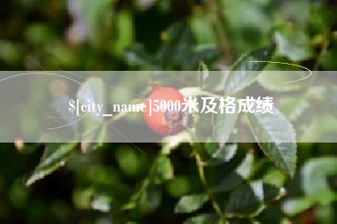 阜阳5000米及格成绩