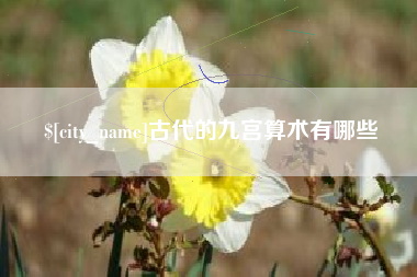 阜阳古代的九宫算术有哪些