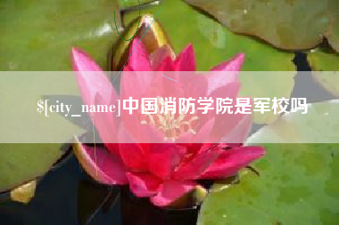阜阳中国消防学院是军校吗