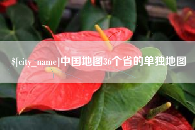 阜阳中国地图36个省的单独地图