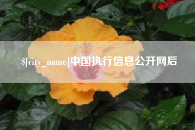 阜阳中国执行信息公开网后