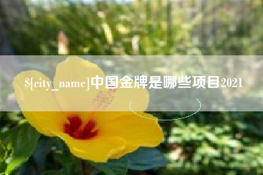 阜阳中国金牌是哪些项目2021