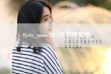 阜阳2021九宫格配图