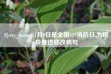 阜阳11月9日是全国119消防日,为积极推进修改病句