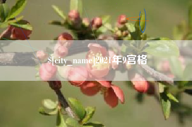 阜阳2021年9宫格