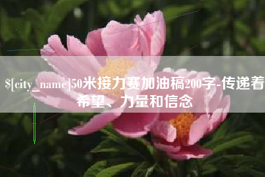 阜阳50米接力赛加油稿200字-传递着希望、力量和信念