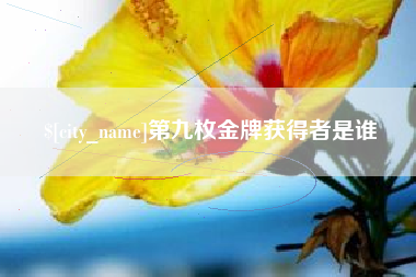 阜阳第九枚金牌获得者是谁