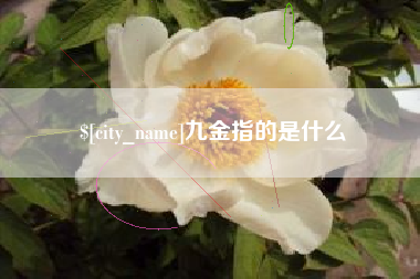 阜阳九金指的是什么