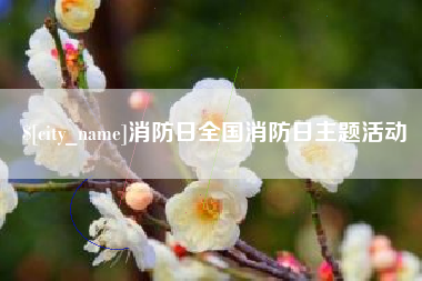 阜阳消防日全国消防日主题活动