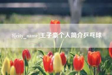 阜阳王子豪个人简介乒乓球