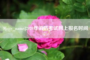 阜阳2020年消防考试网上报名时间