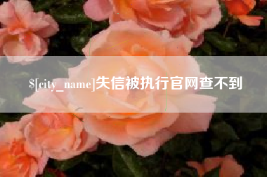 阜阳失信被执行官网查不到