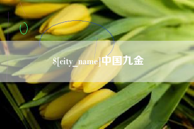 阜阳中国九金