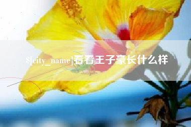 阜阳看看王子豪长什么样