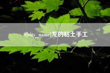 阜阳龙的粘土手工