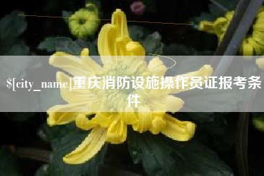 阜阳重庆消防设施操作员证报考条件
