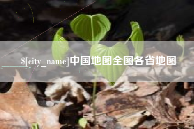 阜阳中国地图全图各省地图