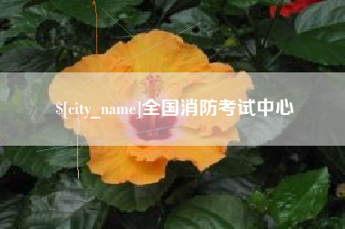 阜阳全国消防考试中心