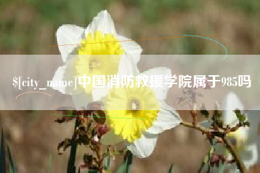 阜阳中国消防救援学院属于985吗