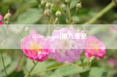 阜阳第九金是