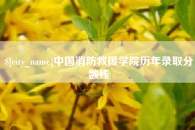 阜阳中国消防救援学院历年录取分数线