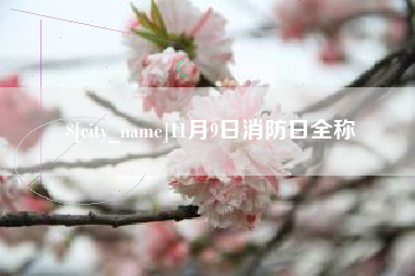 阜阳11月9日消防日全称