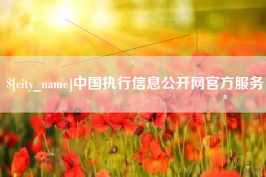 阜阳中国执行信息公开网官方服务