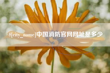 阜阳中国消防官网网址是多少