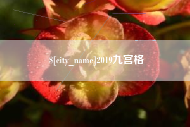 阜阳2019九宫格