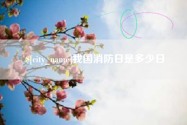 阜阳我国消防日是多少日