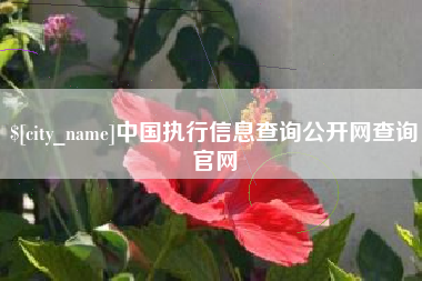 阜阳中国执行信息查询公开网查询官网