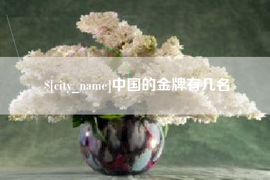 阜阳中国的金牌有几名