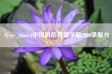 阜阳中国消防救援学院2020录取分