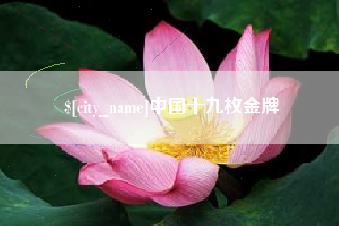 阜阳中国十九枚金牌