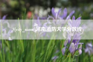 阜阳河南消防大学分数线