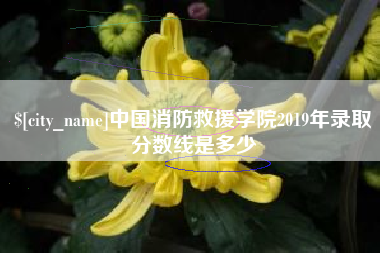 阜阳中国消防救援学院2019年录取分数线是多少