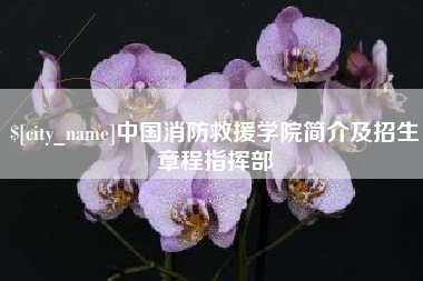 阜阳中国消防救援学院简介及招生章程指挥部