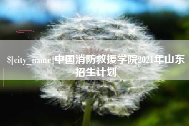 阜阳中国消防救援学院2021年山东招生计划
