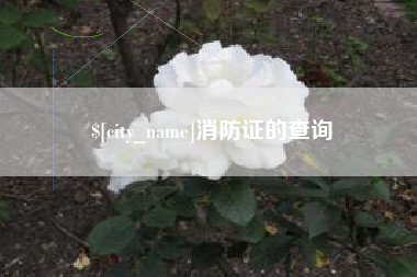 阜阳消防证的查询