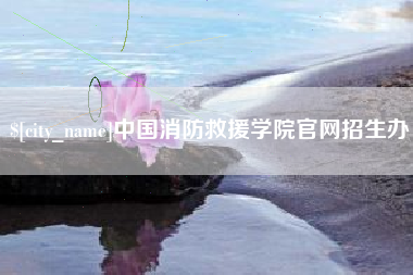 阜阳中国消防救援学院官网招生办