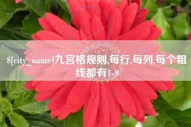 阜阳九宫格规则,每行,每列,每个粗线都有1-9