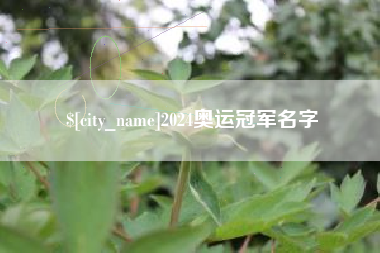 阜阳2024奥运冠军名字
