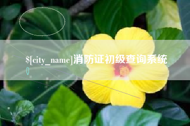 阜阳消防证初级查询系统