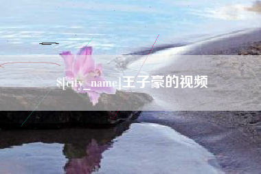 阜阳王子豪的视频
