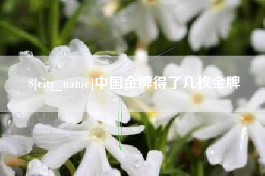 阜阳中国金牌得了几枚金牌
