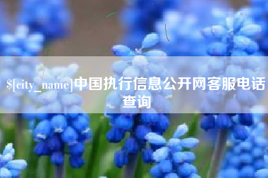 阜阳中国执行信息公开网客服电话查询
