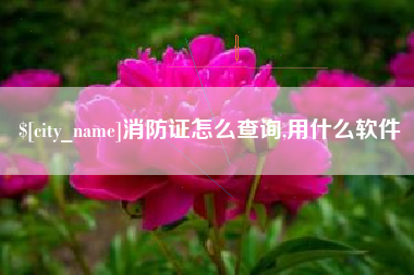 阜阳消防证怎么查询,用什么软件
