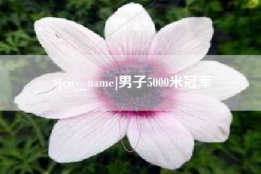 阜阳男子5000米冠军