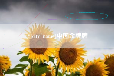 阜阳中国金牌牌