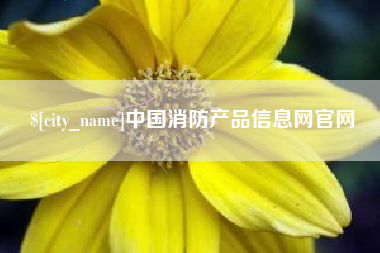 阜阳中国消防产品信息网官网